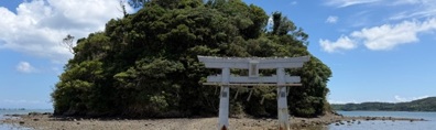 タイトル